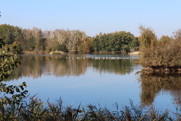 Fototapeta na wymiar Vrbenský pond near české Budéjovice, South Bohemia, Czech republic
