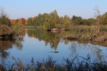 Vrbenský pond near české Budéjovice, South Bohemia, Czech republic