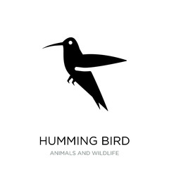 humming bird icon vector on white background, humming bird trend