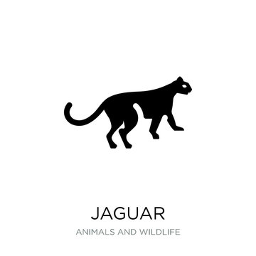 jaguar icon vector on white background, jaguar trendy filled ico