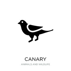 canary icon vector on white background, canary trendy filled ico