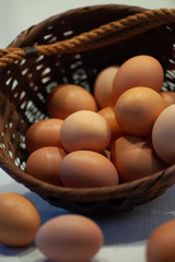Fresh Brown Eggs