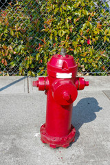 Fototapeta na wymiar hydrant on street