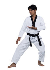 Master Black Belt TaeKwonDo handsome man instructor Teacher fighter show hit pose, studio lighting white background isolated.  White formal fighting suit, motion blur hand foots on taekwondo post.