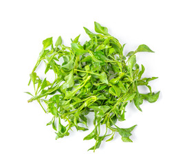 Watercress isolated on white background. top view