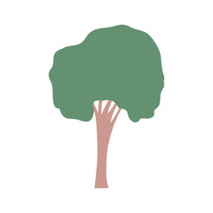tall tree isolated icon