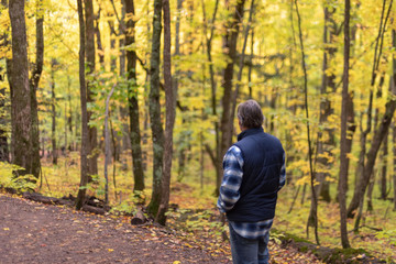 Fototapeta premium Man hiking a trail in the Porcupine Mountains on a misty autumn day