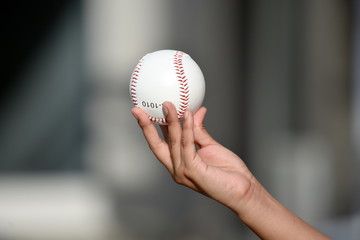 Child Hand Holding Baseball