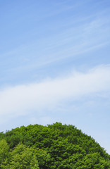 木　空　雲　素材