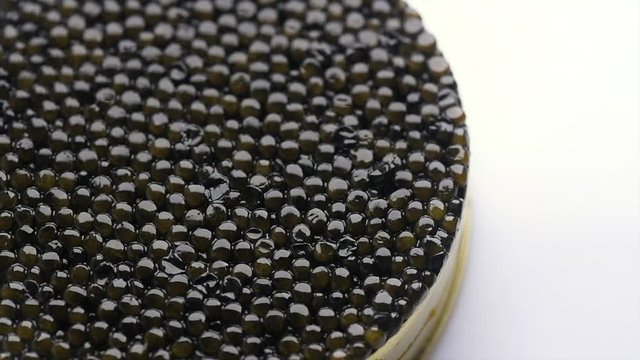 Caviar closeup. Black caviar rotated on white background. High quality natural sturgeon caviar close-up, rotation. Delicatessen. 4K UHD video footage 3840X2160