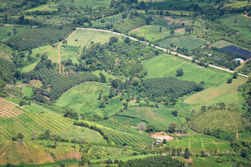 Naklejka premium Top view green field agricultural area with road curve on the moutain