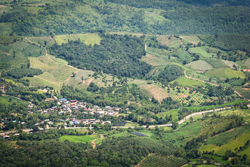 Fototapeta na wymiar Top view village agriculture area / view green field agricultural farm and with road to the moutain