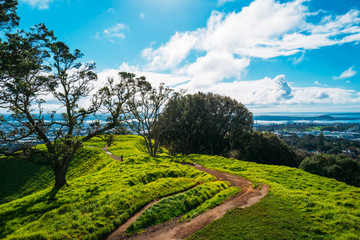 Auckland skyline from Mount Eden
