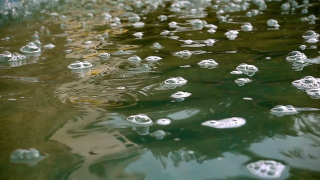 Sponge Foam on Water Pool