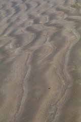 Sand Texture