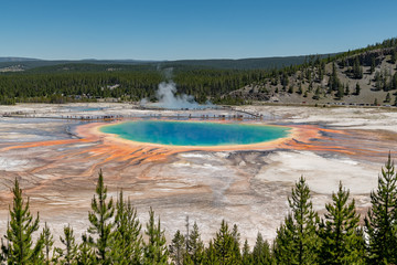 Grand Prismatic Spring. Hot springs. Yellowstone National Park. Wyoming. USA.