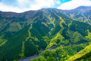 行者還林道のナメゴ谷