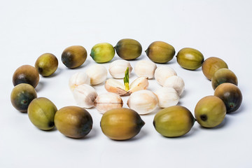 Fresh lotus and lotus seeds