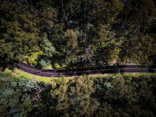 An aerial shot of a road snaking its way through the Yarra Valley Wine Region, in Victoria, Australia - 241660584