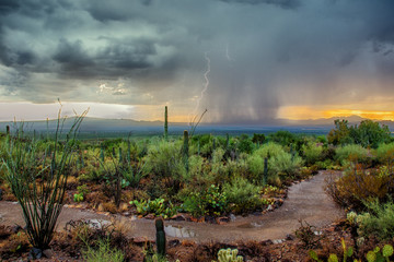 Arizona Desert Monsoon Storm with Dramatic Skies at Sunset - obrazy, fototapety, plakaty