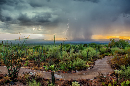 Arizona Desert Monsoon Storm with Dramatic Skies at Sunset
