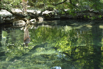 Abstract figure of a woman standing on the shore of the pond, reflected on the surface of the...