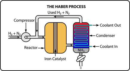 The Haber Process