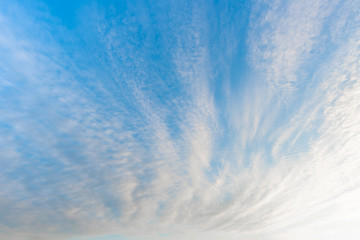 Fototapeta premium blue sky with cloud