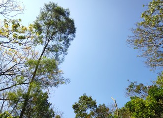 Sky high.