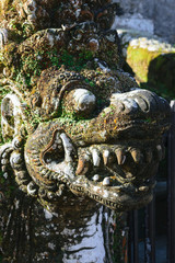 Very old dragon head shape stone sculpture covered with moss and lichens in Bali