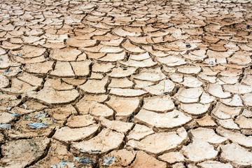 Summer river dry river bed