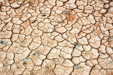 Summer river dry river bed