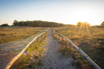 Weg durch die Heide zum Strand