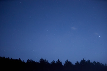 森と夜空・星空２