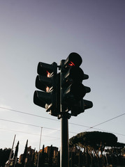 Traffic Light in Rome
