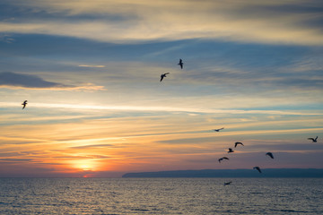 Sonnenaufgang über der Ostsee mit Möwen am Himmel