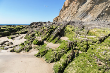 Naklejka premium The Rocks of the Sea