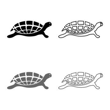 Turtle tortoise icon set grey black color illustration outline flat style simple image