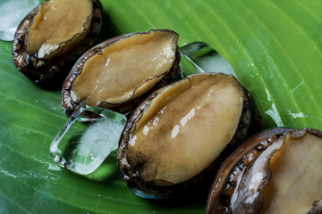 Small abalone and ice cubes on banana leaf