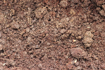 Soil texture background
