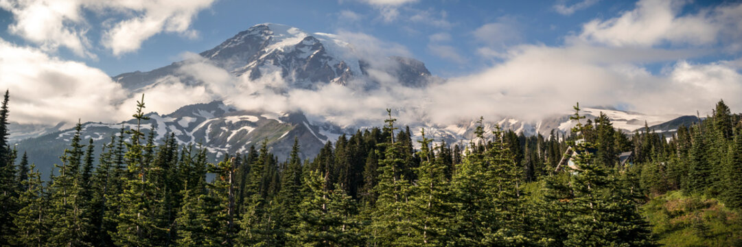 Summer Panorama of Mt Rainier from Paradise Parking Lot