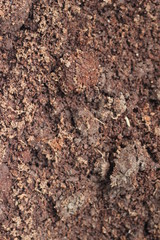 Soil texture background