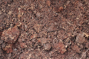 Soil texture background