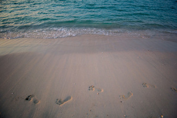 footprints in the sand near the ocean