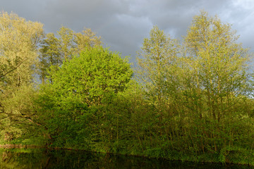 Lichtstimmung im Naturschutzgebiet Schwalm-Nette