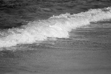 sea and light sand black and white photo