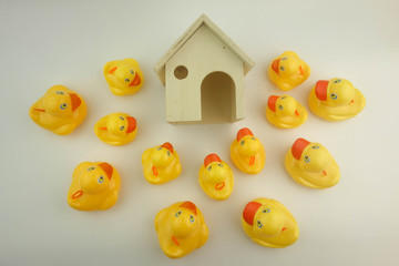 Rubber duck and house model. Buy family a house concept
