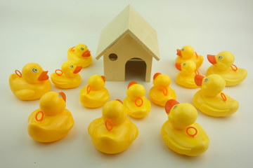 Rubber duck and house model. Buy family a house concept