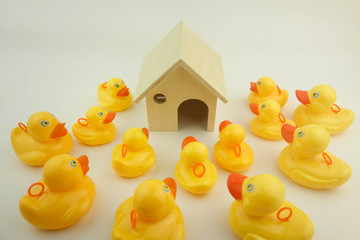 Rubber duck and house model. Buy family a house concept