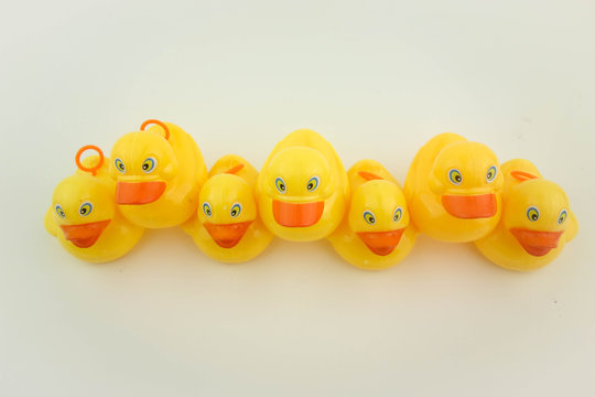 rubber ducks on white background